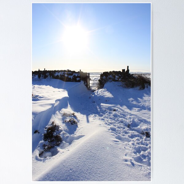snow time the best Poster