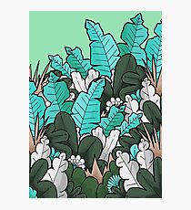 Green jungle leaves Photographic Print