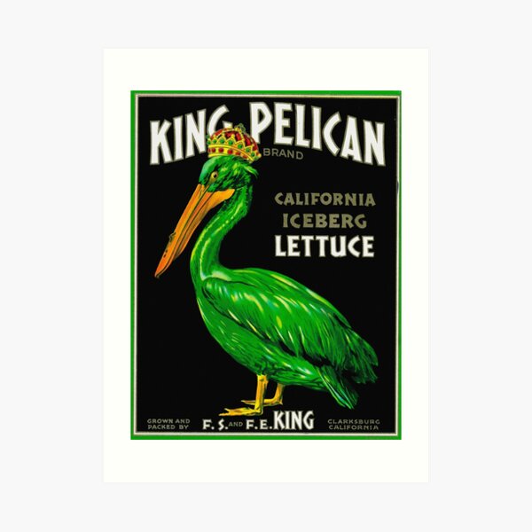 King Pelican Art Print
