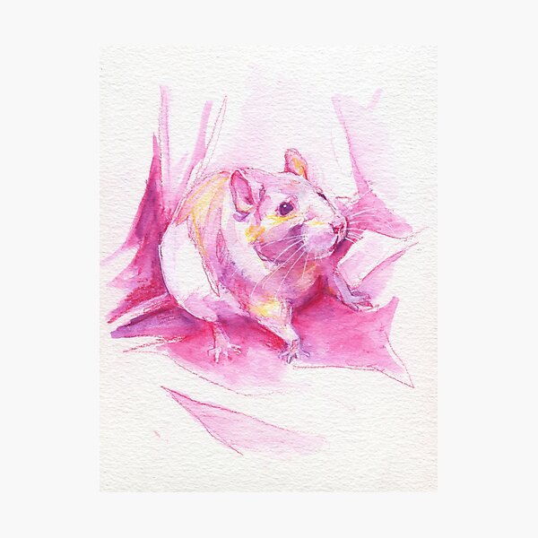 The100RatProject 041 Photographic Print