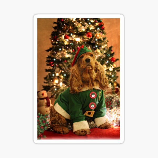 KIM - Christmas card (VII) Sticker