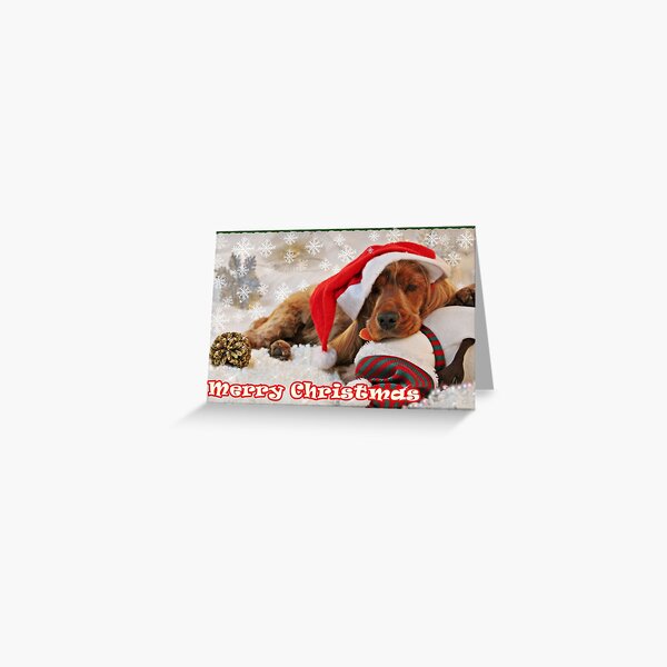 KIM - Christmas cards (I) Greeting Card