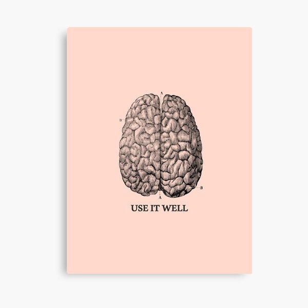 Use it well - Brain Canvas Print