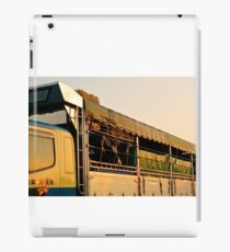 Bulls iPad Case/Skin
