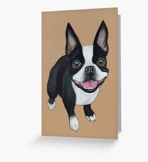 Boston Terrier Greeting Card