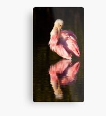 Spoon Grooming Metal Print