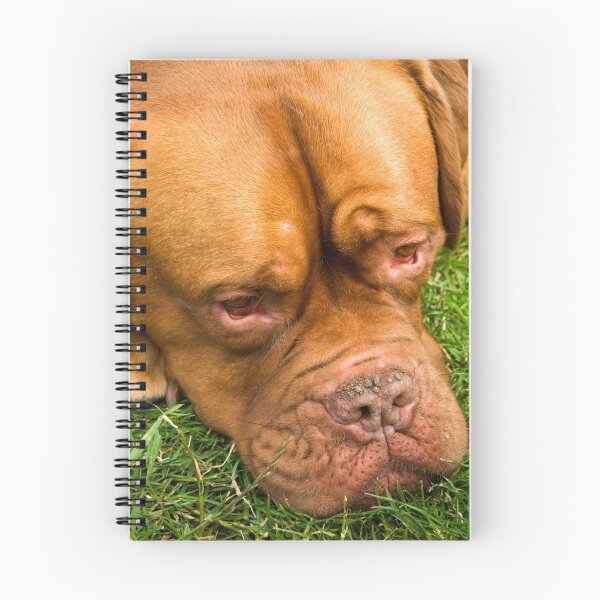 Item preview, Dogue de Bordeaux designed and sold by Kawka.