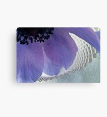 Anemone & Paper Canvas Print