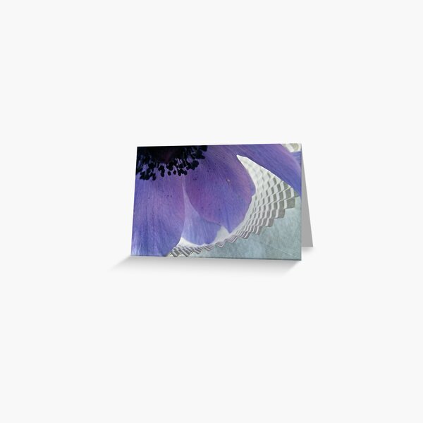Anemone & Paper Greeting Card