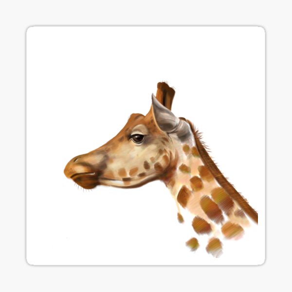 Portrait of a Giraffe Sticker