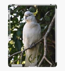Sulphur iPad Case/Skin