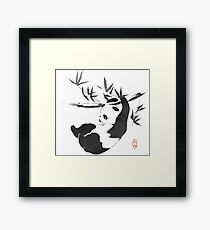 Giant Panda Framed Print