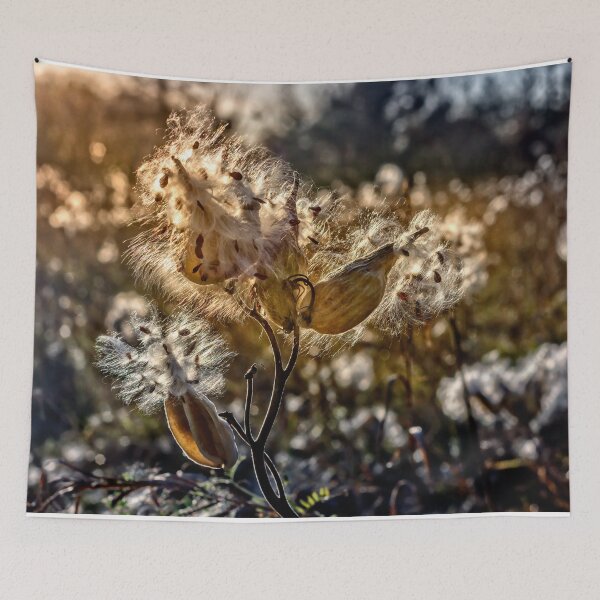 Item preview, Milkweed Seeds In The Sun designed and sold by Robert Alsop.
