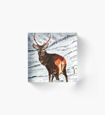Stag in snowy landscape Acrylic Block