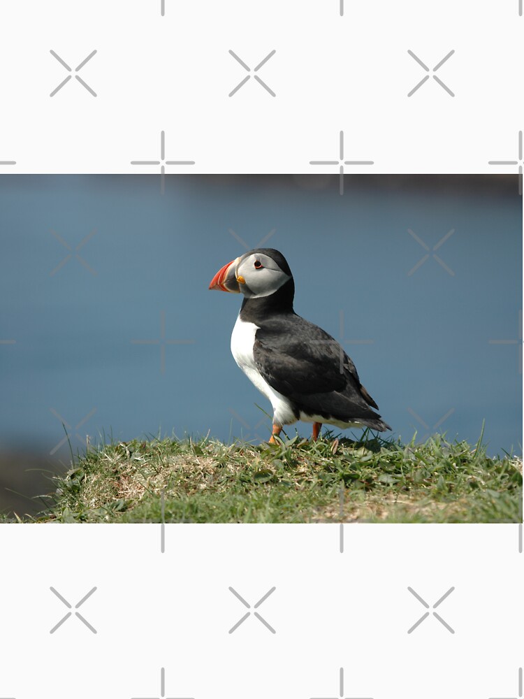 Thumbnail 7 of 7, Classic T-Shirt, Solitary Puffin in profile designed and sold by SiobhanFraser.