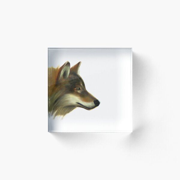 Portrait of a Wolf without background colour Acrylic Block