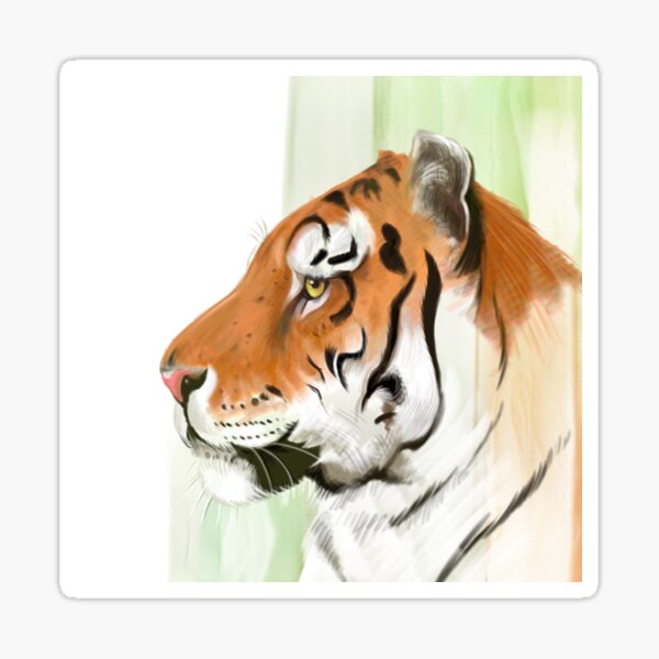 Portrait of a Tiger Sticker