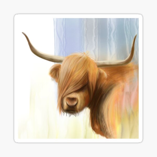 Portrait of a Highland Cow Sticker