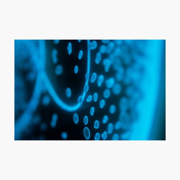 Glowing Bacterial Art - Dots Photographic Print