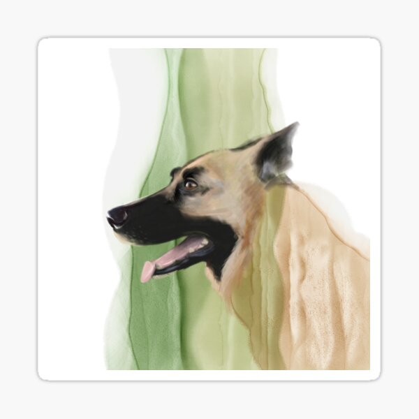 Portrait of a Norwegian Elk Hound Sticker