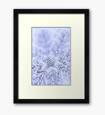 Blue coldness Framed Print