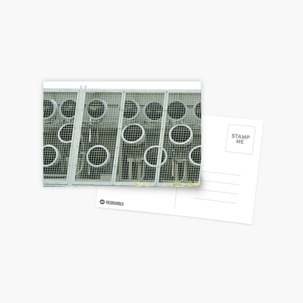 Item preview, Postcard designed and sold by tomoenk6.