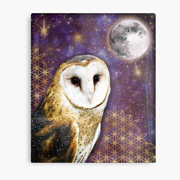 Magical owl sacred geometry tapestry gold stars watercolor moon tapestry moon and owl Metal Print