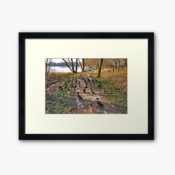We are h u n g r y !! 2 Framed Art Print