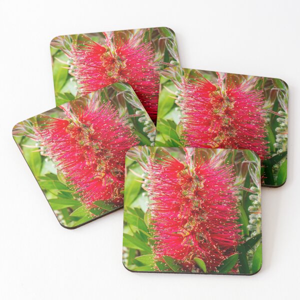 Item preview, Bottle brush plant designed and sold by iCimages.net.