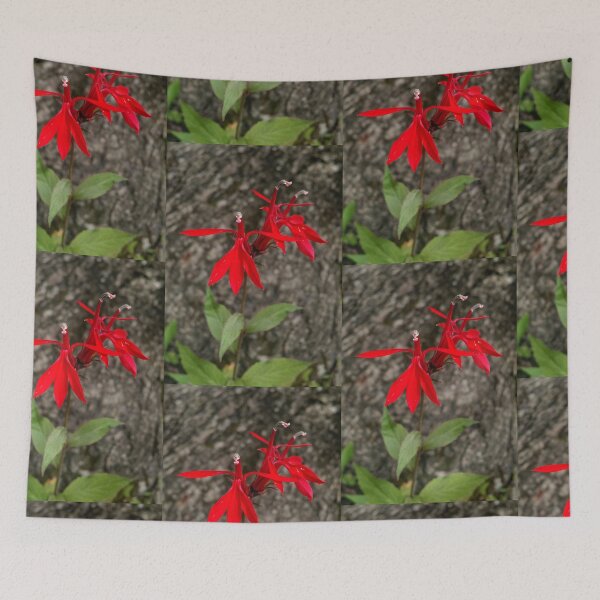 Item preview, Cardinal Flower at Hudson Mills designed and sold by J Rier Photography.