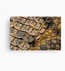REPTILE Canvas Print