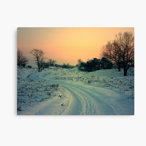 Road in the Snow Canvas Print