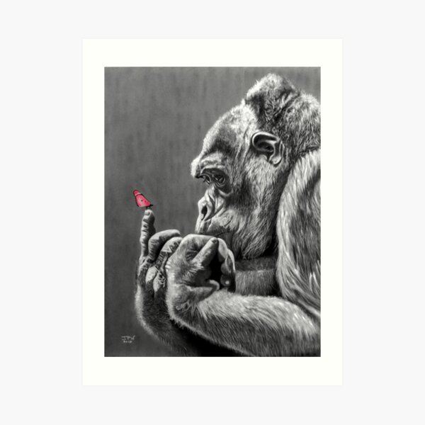 Butterfly and Gorilla Art Print