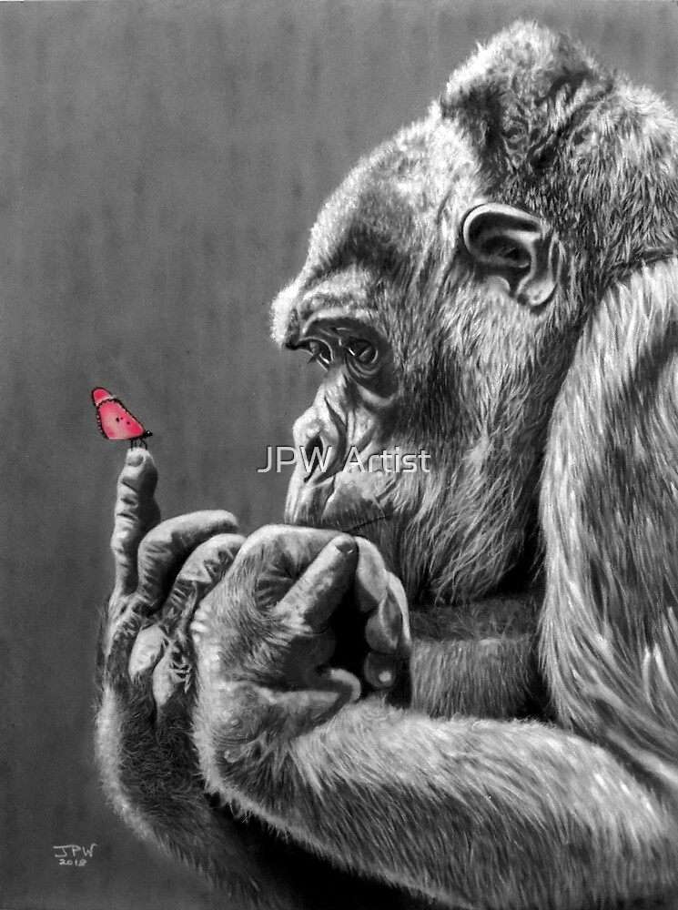 Schmetterling Und Gorilla Von Jpw Artist Redbubble