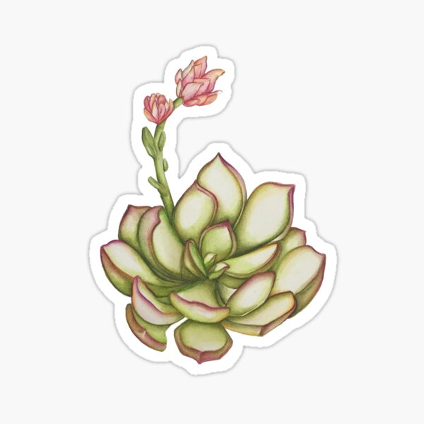 Sweetie Pie Sticker