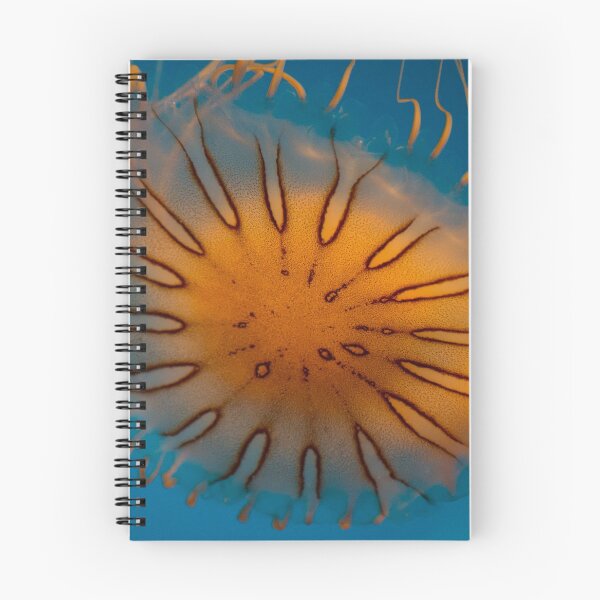 Item preview, Orange Jellyfish Closeup designed and sold by Diego Re.