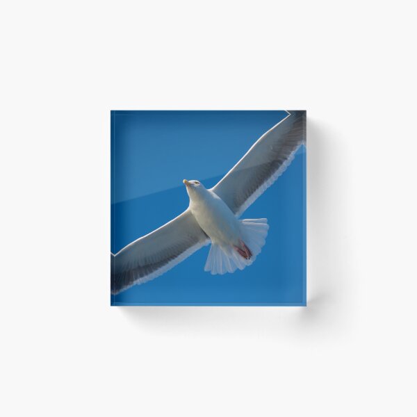 Item preview, Free On Wings designed and sold by Diego Re.