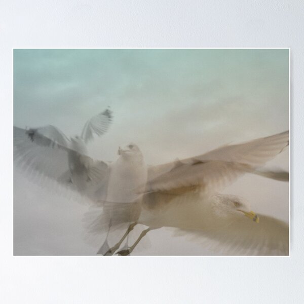 Item preview, Gull In Flight designed and sold by Adrena87.