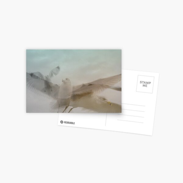 Item preview, Gull In Flight designed and sold by Adrena87.