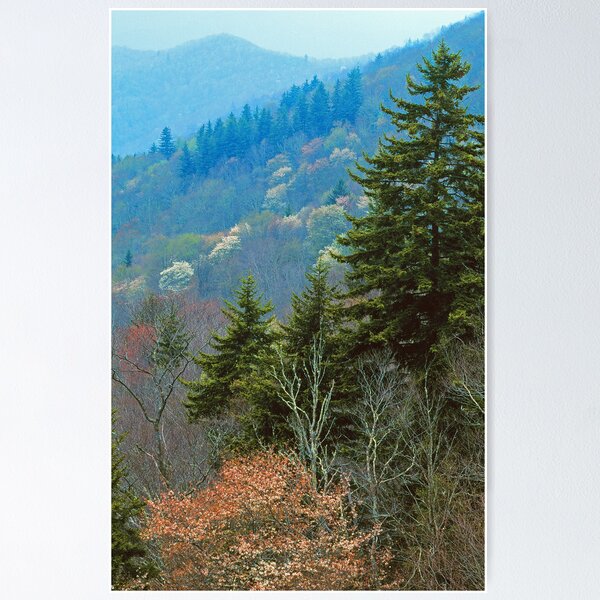 Aperçu de l'œuvre SPRING SCENE créée et vendue par Chuck Wickham.