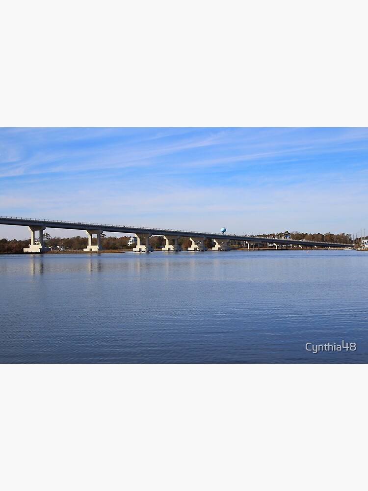 Póster «Nuevo Surf City Bridge» de Cynthia48 Redbubble