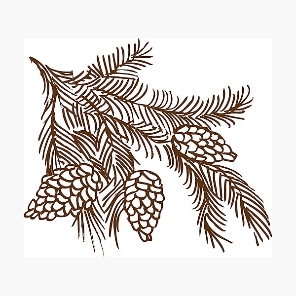Item preview, Pine Cone designed and sold by MyArt23.