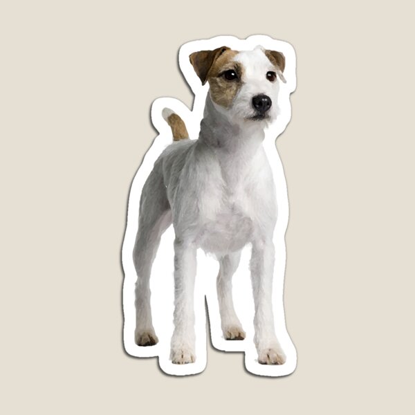 Parson Russell Terrier Gifts & Merchandise Redbubble