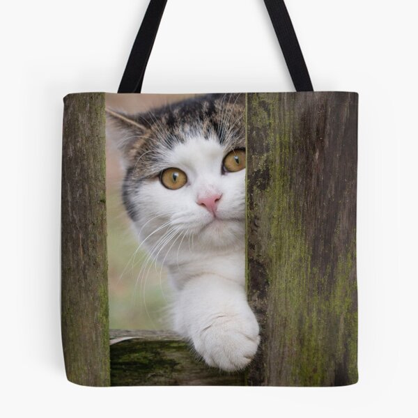 Item preview, Hiding kitty designed and sold by Pokofoto.