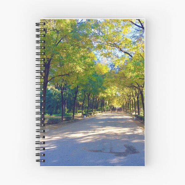 Item preview, Sevilla designed and sold by MaxPak.