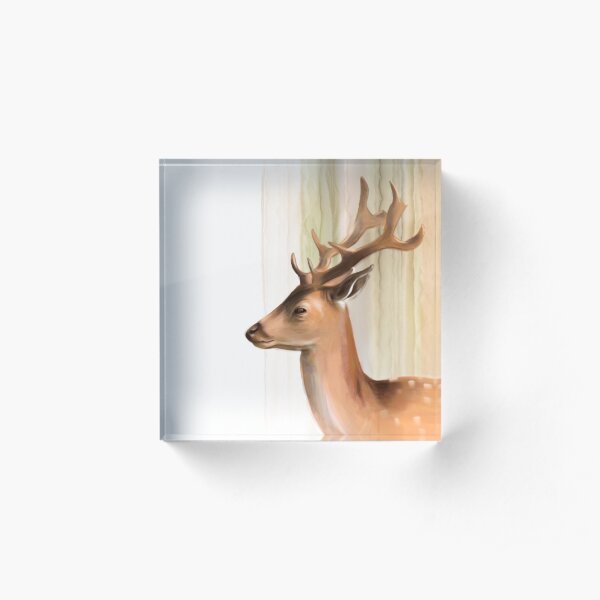 Portrait of a young Stag Acrylic Block