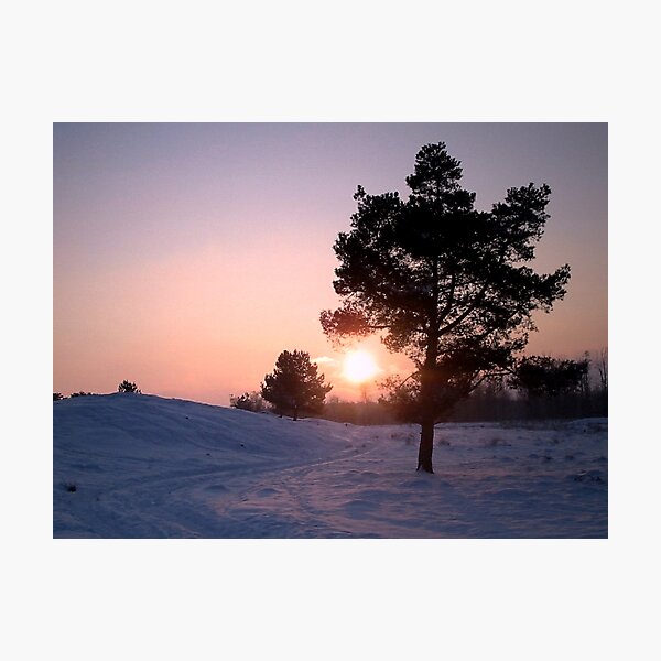Artikelvorschau, Winter Sunset entworfen und verkauft von ienemien.