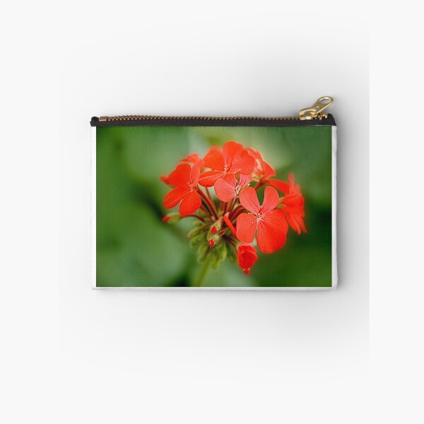 Item preview, the red bunch designed and sold by lensbaby.