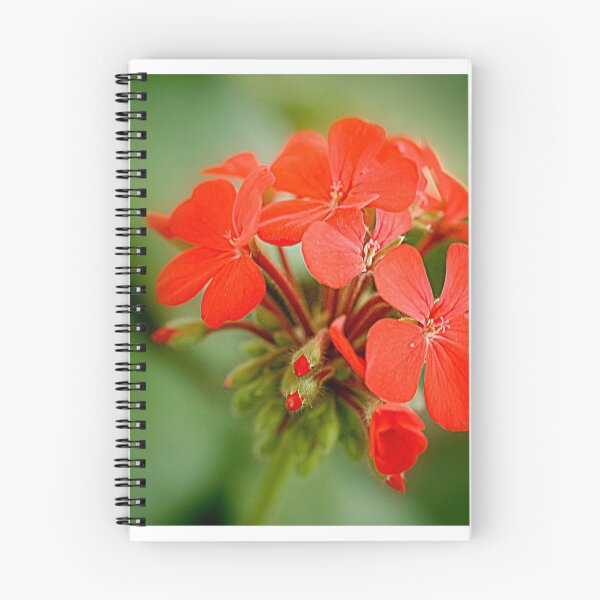 Item preview, the red bunch designed and sold by lensbaby.
