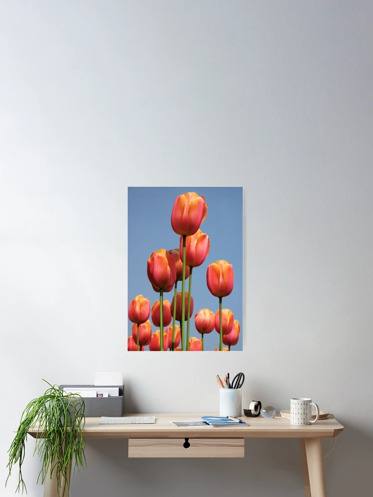 Thumbnail 2 of 3, Poster, Spring designed and sold by DavidROMAN.